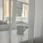 уютная в самом сердце риги 公寓